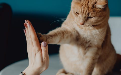 Kiedy senior zbytnio się smuci …